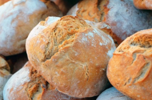 alimentos prohibidos para conejos