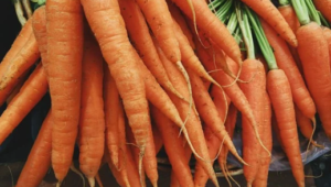 Verduras buenas para la salud del conejo