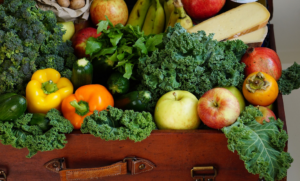 Alimentación para un conejo