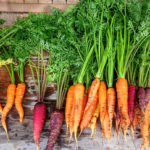 A los conejos les gustan las zanahorias?