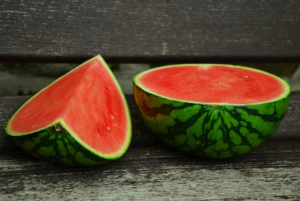 Los conejos pueden comer sandia