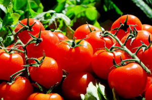 Los conejos pueden comer tomate