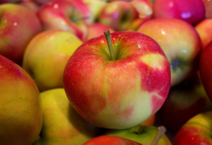 Los conejos pueden comer manzana