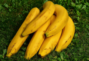 los conejos pueden comer plátano