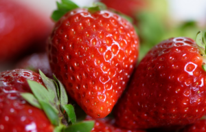 Qué frutas pueden comer los conejos