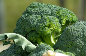 Los conejos pueden comer brócoli?