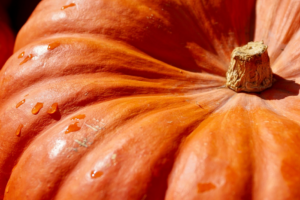 Los conejos pueden comer calabaza
