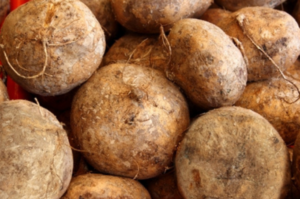 Los conejos pueden comer jícama