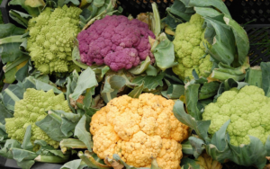 Los conejos pueden comer coliflor 
