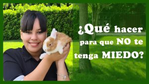Como hacer que tu conejo deje de cavar en el jardín