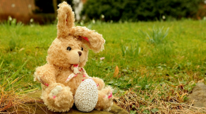 Los mejores regalos para amantes de los conejos