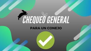 Revisión veterinaria de conejos