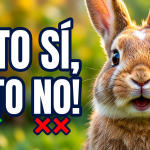 Qu&eacute; puede comer un conejo: la gu&iacute;a m&aacute;s completa de alimentos seguros y prohibidos